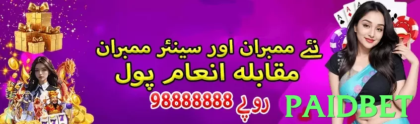 Paidbet Pakistan - 3